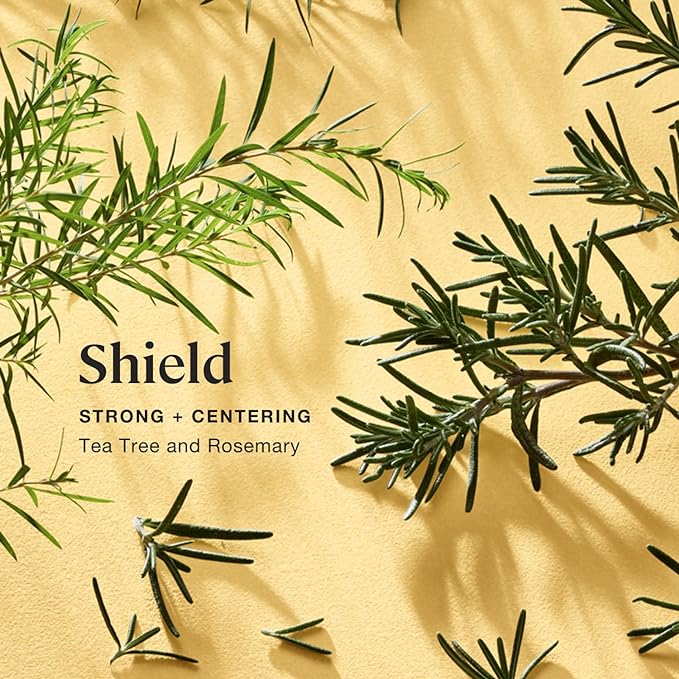 Sprig by Kohler Scented Candle, Shield, 8 oz