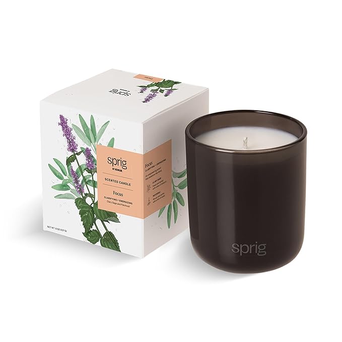 Sprig by Kohler Scented Candle, Focus, 8 oz
