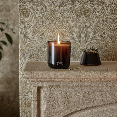 Sprig by Kohler Scented Candle, Relax, 8 oz