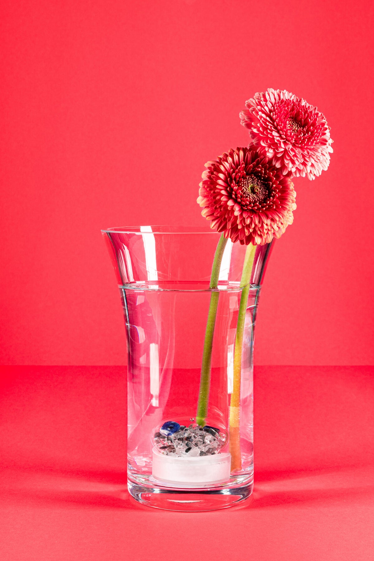 VitaJuwel Crystal Flower Vase, Flora