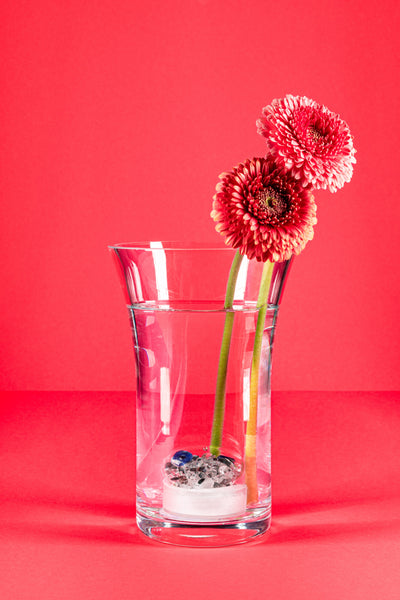 VitaJuwel Crystal Flower Vase, Flora